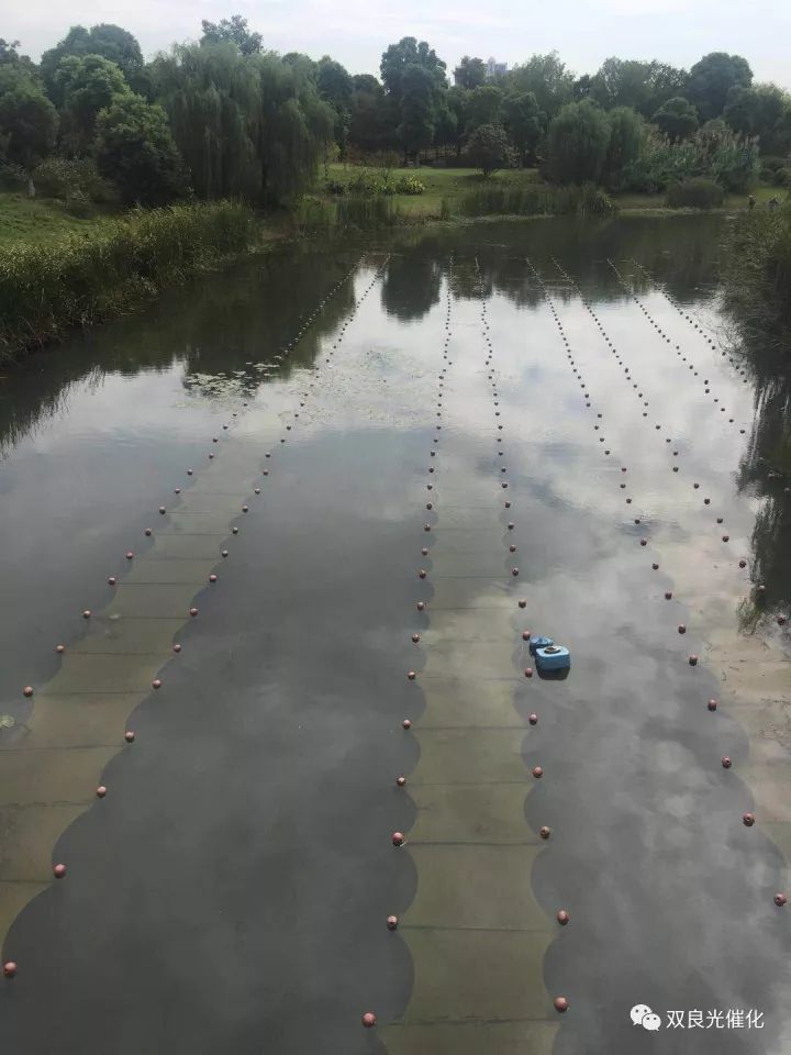 江陰市委書記走進雙良新型光催化——江陰三季度重點產業(yè)項目現(xiàn)場觀摩活動