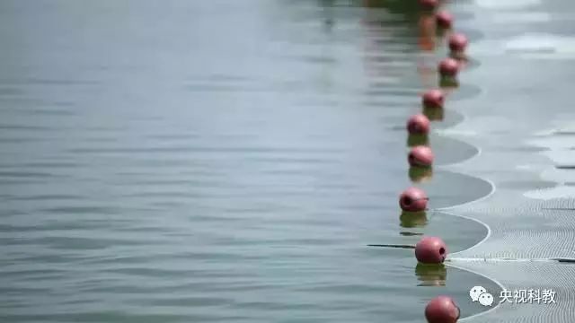 央視聚焦<a href=http://www.qmnd.cn target=_blank class=infotextkey>雙良</a><a href=http://www.qmnd.cn target=_blank class=infotextkey>新型光催化</a>“走進(jìn)科學(xué)”