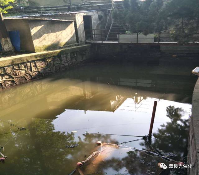 6621萬！吉林城市垃圾河道治理工程施工方案清運(yùn)、城市垃圾處理、清潔服務(wù)、河道管理服務(wù)采購(gòu)公開招標(biāo)