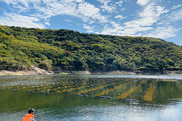 長(zhǎng)弄堂水庫水源地光催化凈水治理工程