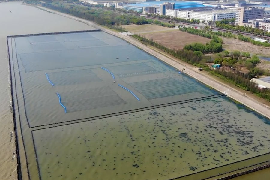 太湖水華控制和水草恢復(fù)光催化<a href=http://www.qmnd.cn target=_blank class=infotextkey>水生態(tài)修復(fù)</a>示范項(xiàng)目