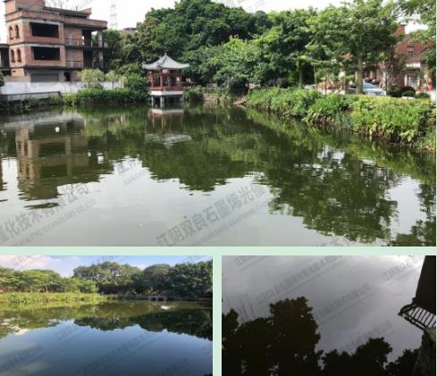 山東省黃河流域生態(tài)保護(hù)社會(huì)治理創(chuàng)新研究院將建立