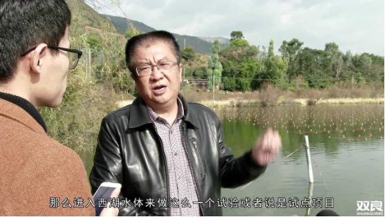 洱源西湖<a href=http://www.qmnd.cn target=_blank class=infotextkey>水環(huán)境治理</a><a href=http://www.qmnd.cn/hp/ target=_blank class=infotextkey>湖泊修復(fù)</a>碧水藍(lán)天