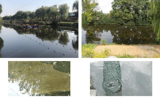 江陰市濱江河黑臭水體<a href=http://www.qmnd.cn target=_blank class=infotextkey>河道治理</a>