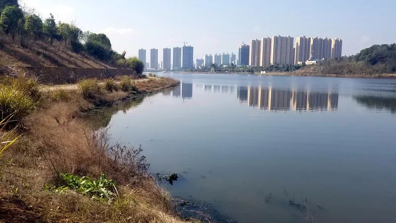 長(zhǎng)興湖水<a href=http://www.qmnd.cn target=_blank class=infotextkey>水環(huán)境治理</a>