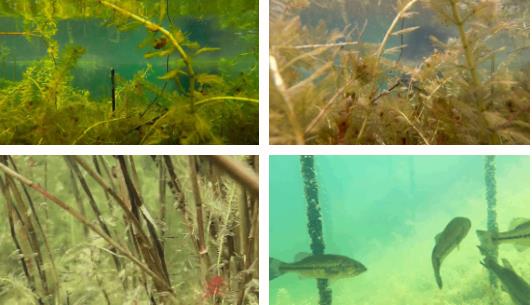 雙良新型光催化技術(shù)市場(chǎng)應(yīng)用推廣交流會(huì)在上海順利召開(kāi)！