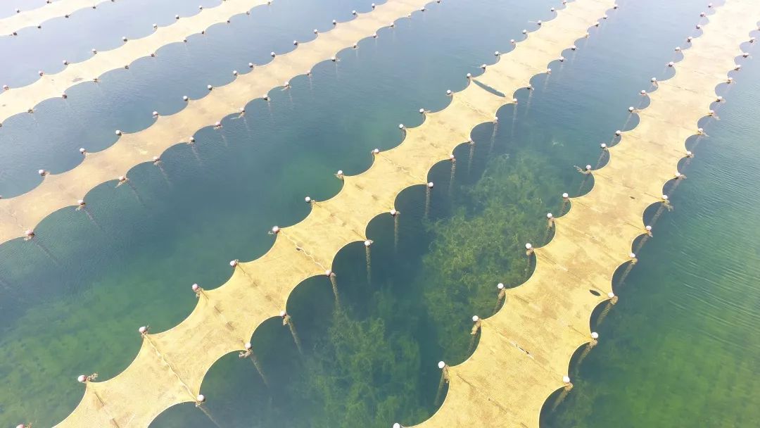 “光催化技術(shù)提升飲用水源地水質(zhì)工程應(yīng)用專家評(píng)審會(huì)”在上?？茖W(xué)會(huì)堂順利召開