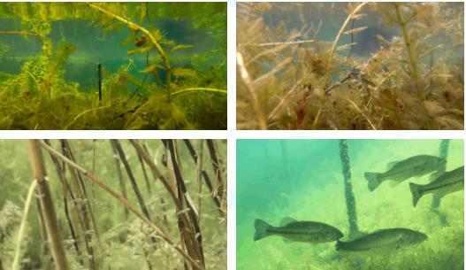 <a href=http://www.qmnd.cn/yysyd/ target=_blank class=infotextkey>水源地治理</a>