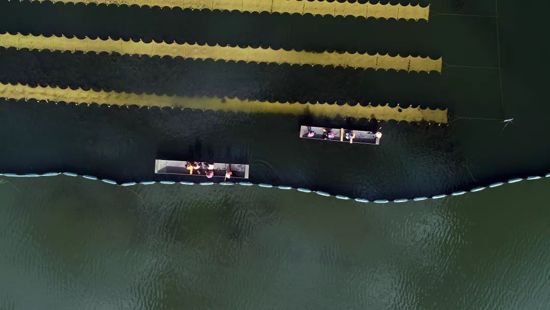 江夏區(qū)環(huán)魯湖生態(tài)治理EOD項(xiàng)目啟動(dòng)區(qū)環(huán)魯湖水生態(tài)治理及保護(hù)利用工程勘察及初步設(shè)計(jì)中標(biāo)候選人公示