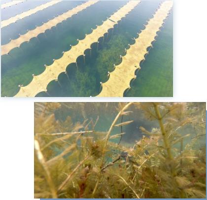 <a href=http://www.qmnd.cn target=_blank class=infotextkey><a href=http://www.qmnd.cn target=_blank class=infotextkey>雙良</a>環(huán)境</a><a href=http://www.qmnd.cn target=_blank class=infotextkey>新型光催化</a>技術(shù)率先打響“抗生素戰(zhàn)役