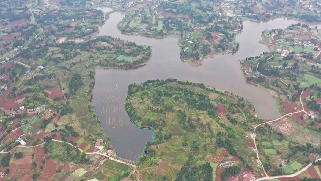 征集作品展出開始投票啦！