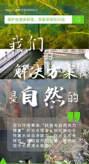 借自然之力,復(fù)綠水青山！