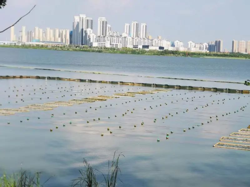 <a href=http://www.qmnd.cn target=_blank class=infotextkey><a href=http://www.qmnd.cn target=_blank class=infotextkey>雙良</a>環(huán)境</a>乘風破浪的三石弟弟