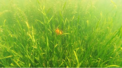 <a href=http://www.qmnd.cn target=_blank class=infotextkey><a href=http://www.qmnd.cn target=_blank class=infotextkey>雙良</a>環(huán)境</a>召開2021年一季度營(yíng)銷會(huì)議