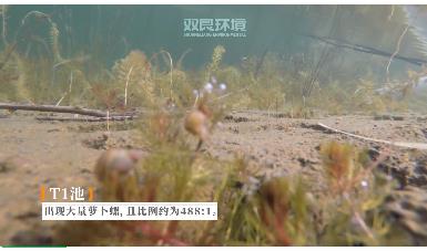 保護(hù)生物多樣性雙良環(huán)境在行動(dòng)！