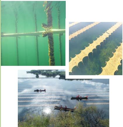 污水廠一線運維崗的工藝管理進(jìn)階課！