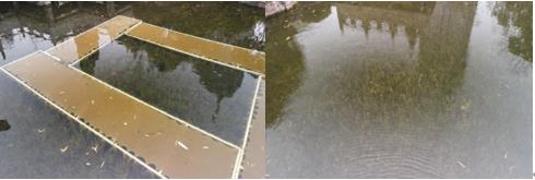 河道治理維修養(yǎng)護技術(shù)規(guī)程