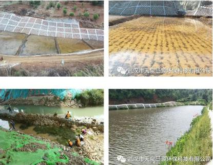 到2025年，基本消除大面積農(nóng)村黑臭水體