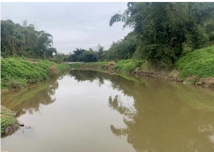 梁子湖“魚(yú)草較量”芻議