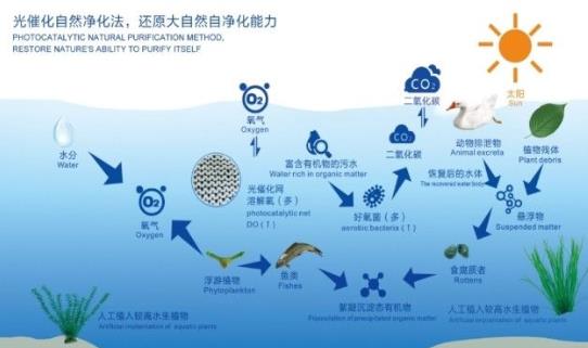 洱海高水平保護流域高質量發(fā)展