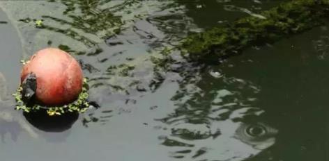 湖泊環(huán)境治理達至人水和諧的技術思路