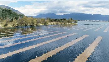 新聞轉(zhuǎn)載｜洪陽(yáng)河道水環(huán)境綜合整治工程效果圖來(lái)了！