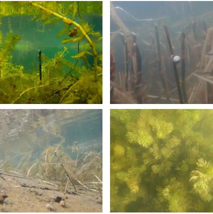 新聞轉(zhuǎn)載｜水利和湖泊管理“麻城經(jīng)驗”被武穴市借鑒學習