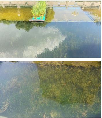 新聞轉(zhuǎn)載｜【堅(jiān)決打贏杞麓湖保護(hù)治理攻堅(jiān)戰(zhàn)】玉溪市“湖泊革命”指揮部新聞發(fā)布會(huì)召開