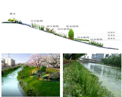 大面積黑臭水體（水塘、水渠、水庫(kù)等）特別是養(yǎng)殖廢水，如何在短時(shí)間快速進(jìn)行治理？達(dá)標(biāo)農(nóng)灌水或排放標(biāo)準(zhǔn)？